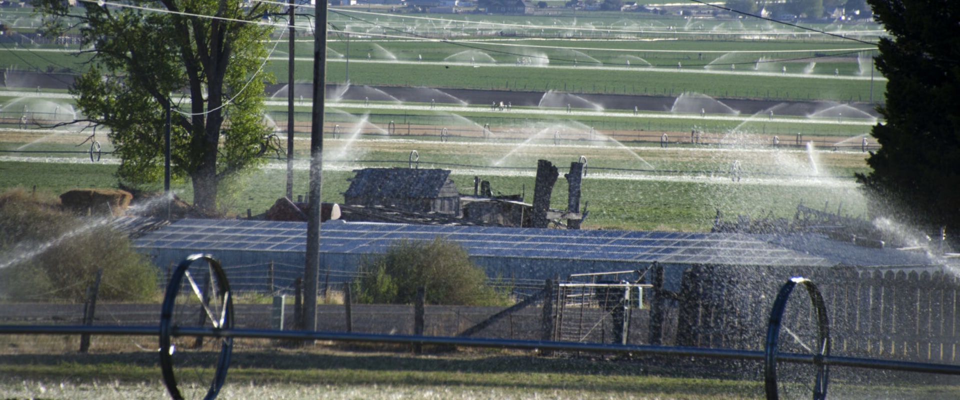 The Republican Perspective on the Economy in Salt Lake County, Utah: An Expert's View