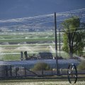 The Republican Perspective on the Economy in Salt Lake County, Utah: An Expert's View